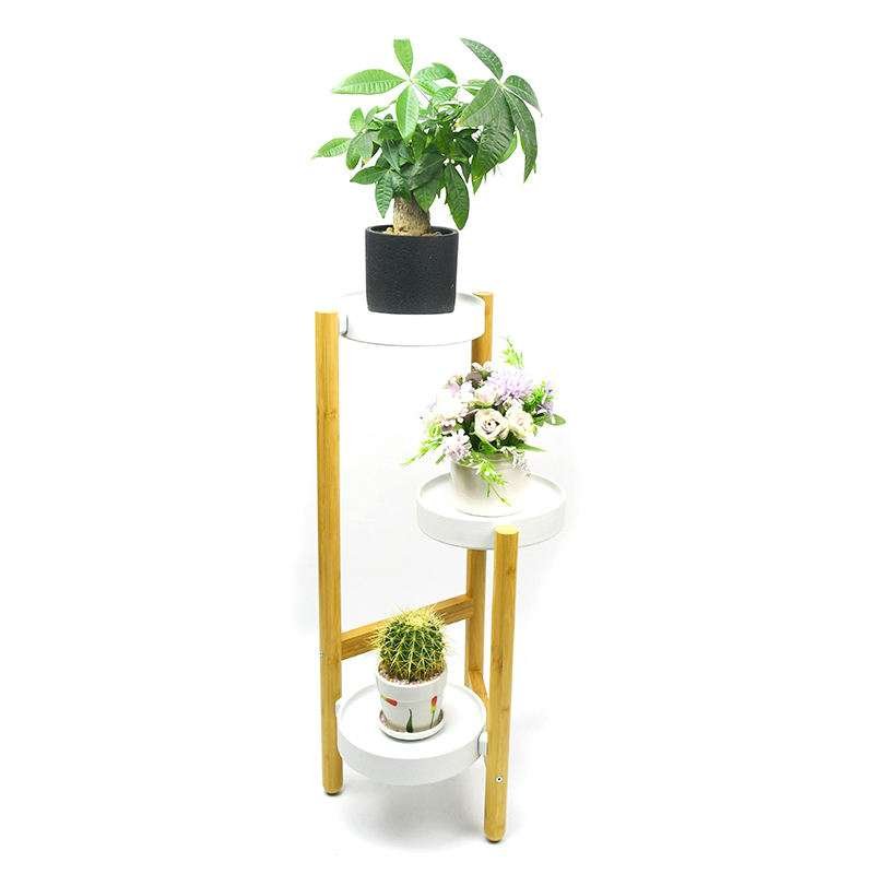 Plant Display Rack