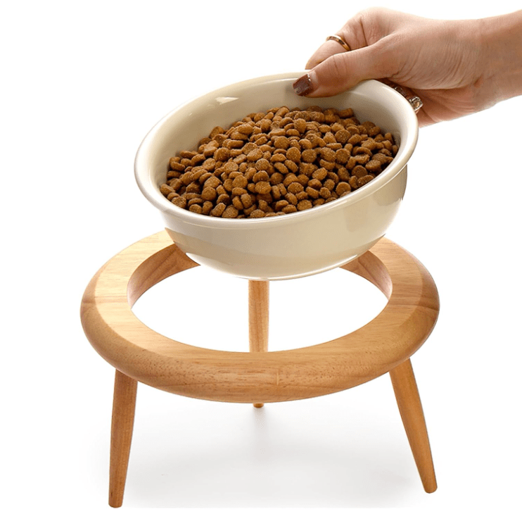 Pet Bowl